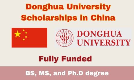 Donghua University Scholarships