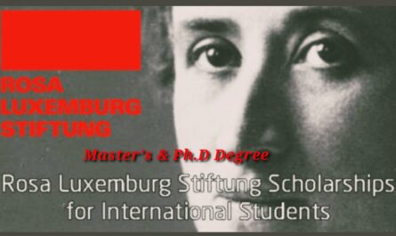 Rosa Luxemburg Stiftung Scholarships