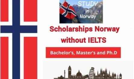 Scholarships in Norway without IELTS