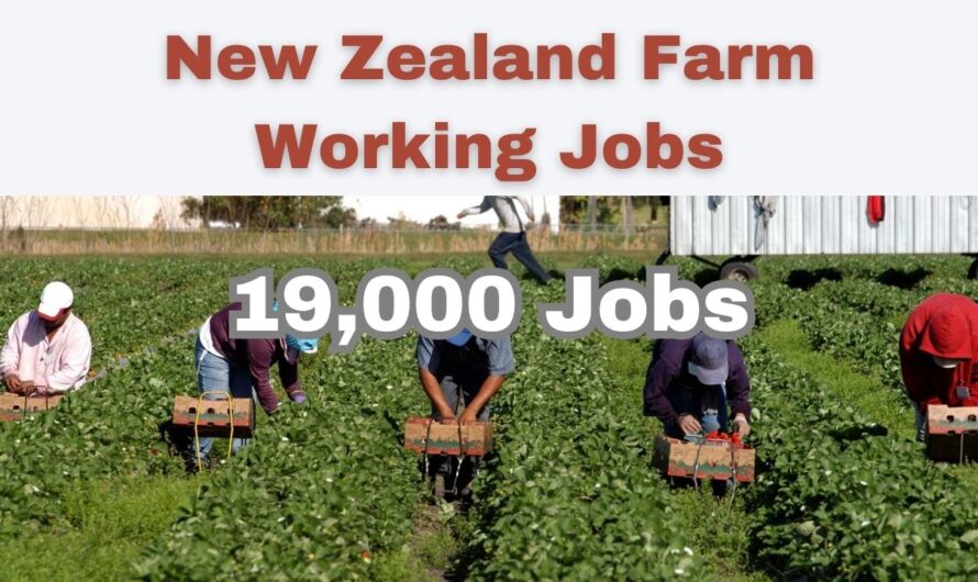 New Zealand Farm Working Jobs 2024 | 19,000 Jobs