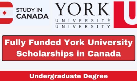 York University Scholarships in Canada