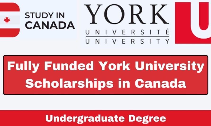 York University Scholarships 2024 in Canada | Fully Funded