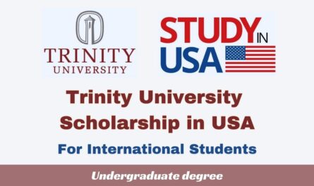Trinity University Scholarship in USA