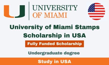 University of Miami Stamps Scholarship