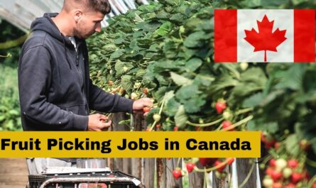 Fruit Picking Jobs in Canada