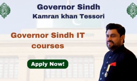 Governor Sindh IT courses