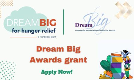 Dream Big Awards grant