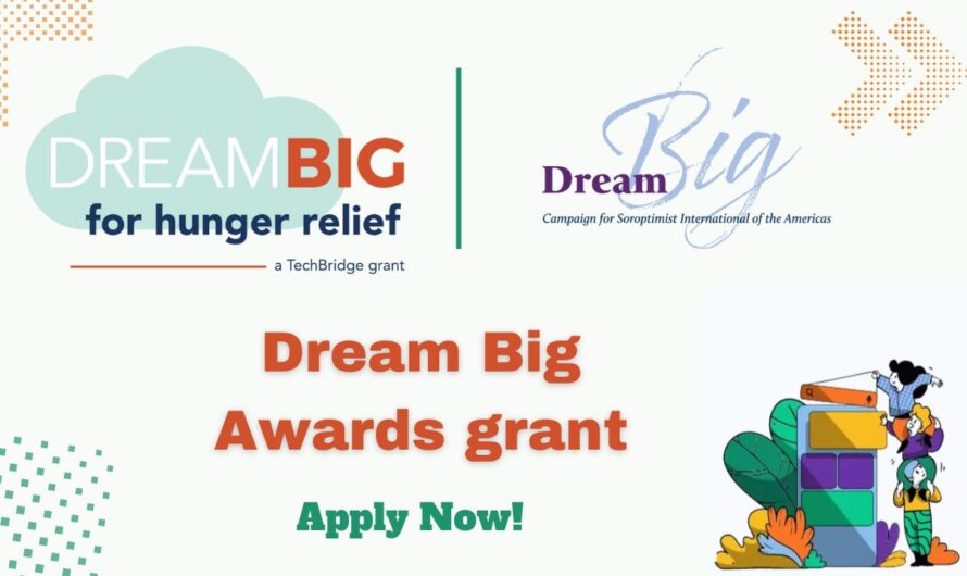 Dream Big Awards grant – Chamber of commerce award 2024