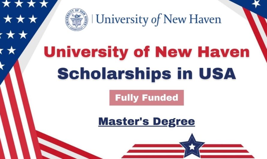 University of New Haven Scholarships 2024 in USA | Fully Funded
