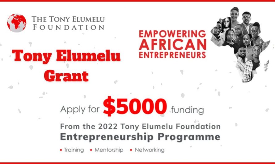 Tony Elumelu Grant 2024 – $5000 Grant for your Business