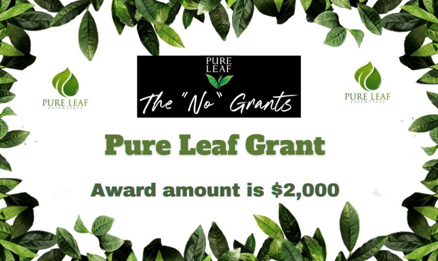 Pure Leaf Grant 2024 | $2,000 Pure Leaf No Grant for Mothers