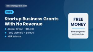 Startup Business Grants With No Revenue 2026